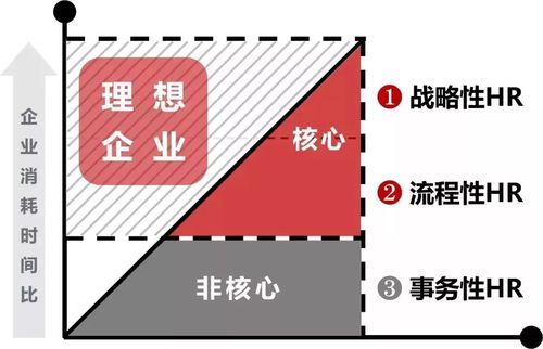 公司hr很专业,为何还要进行人力资源服务外包