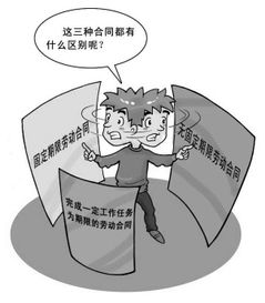 劳动关系应该在哪个单位